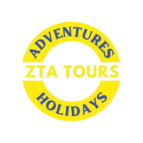 ZTA_LOGO_BG-REMOVED-